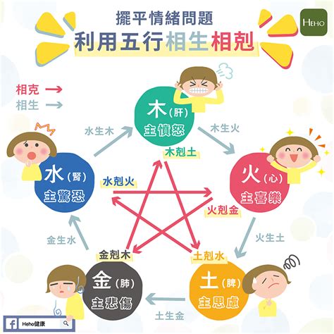 五行 情緒|中醫也可治癒心理病症！ 從五行理論到現代醫學的結合